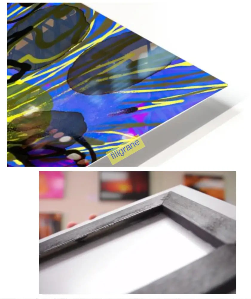 Lumieres Sauvages Canvas